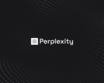 Perplexity